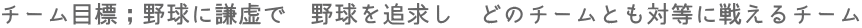 `[ڕWG싅ɌŁ@싅ǋ@ǂ̃`[ƂΓɐ킦`[